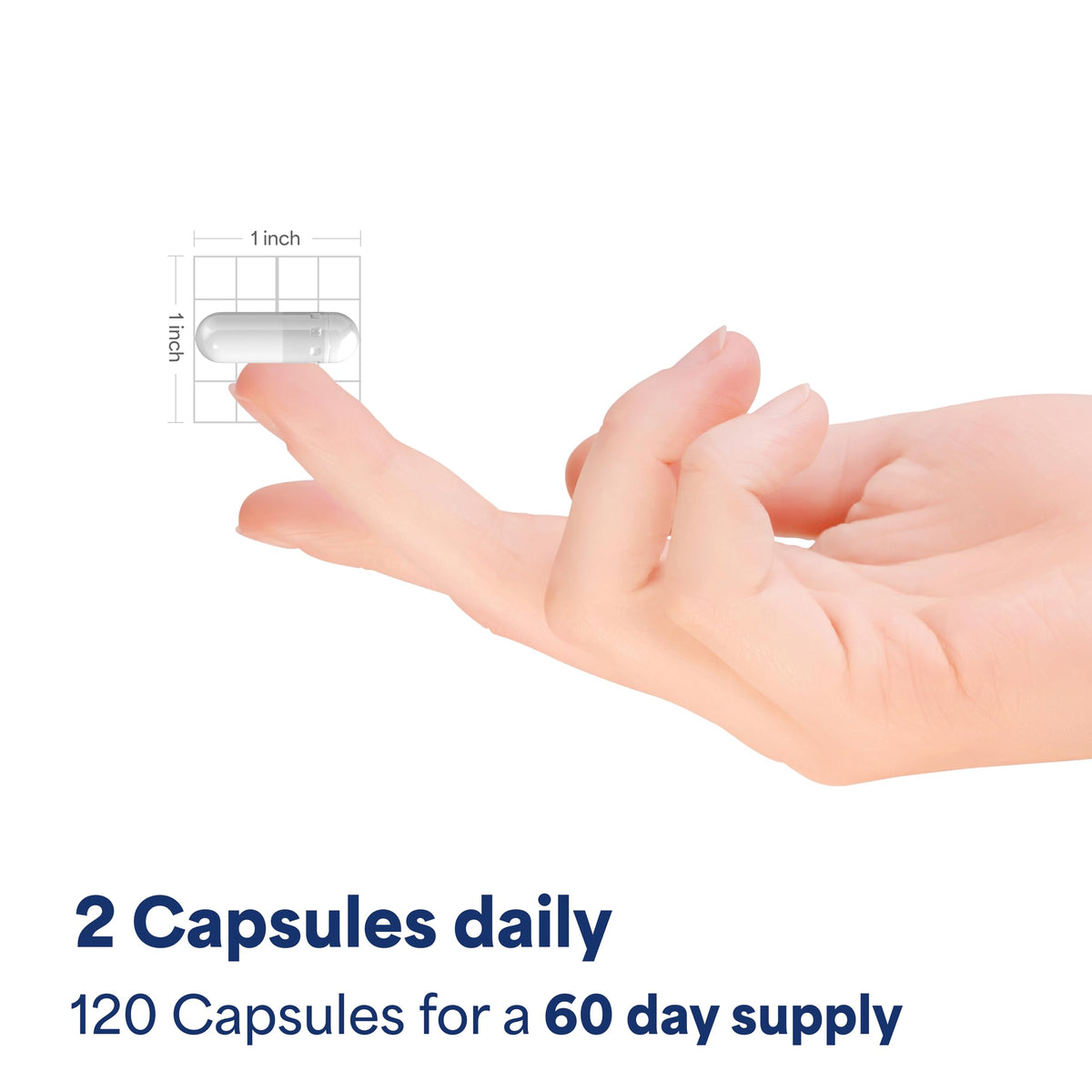 Cinnamon 875 mg 120 Capsules R272782