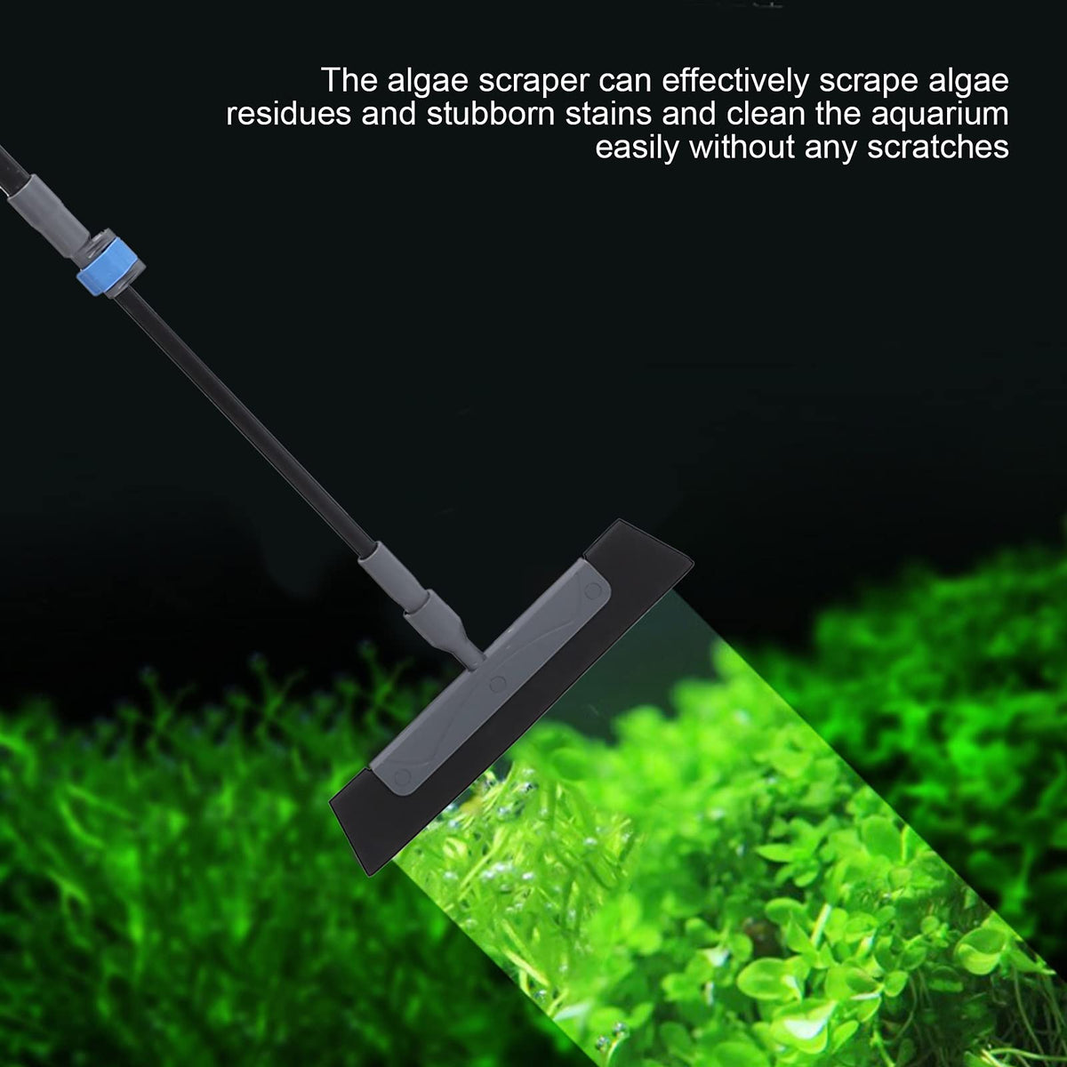 5 in 1 Aquarium Maintenance Kit with Telescopic Brush and Soft Net C129