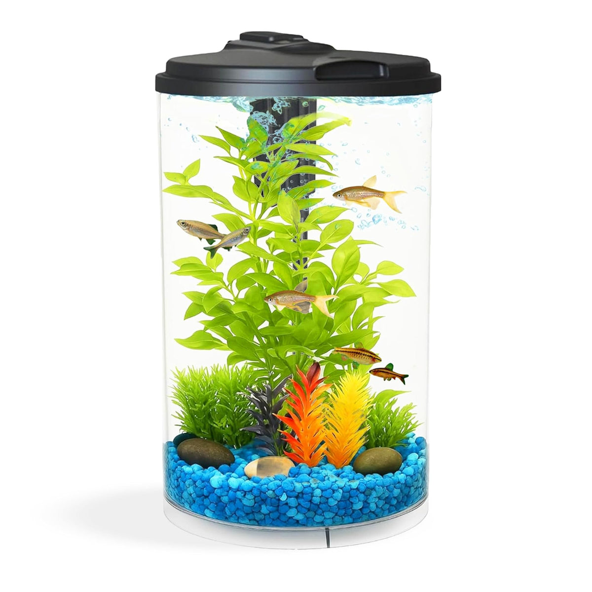 3-Gallon Aquarium with LED Lighting and Power Filter H17324
