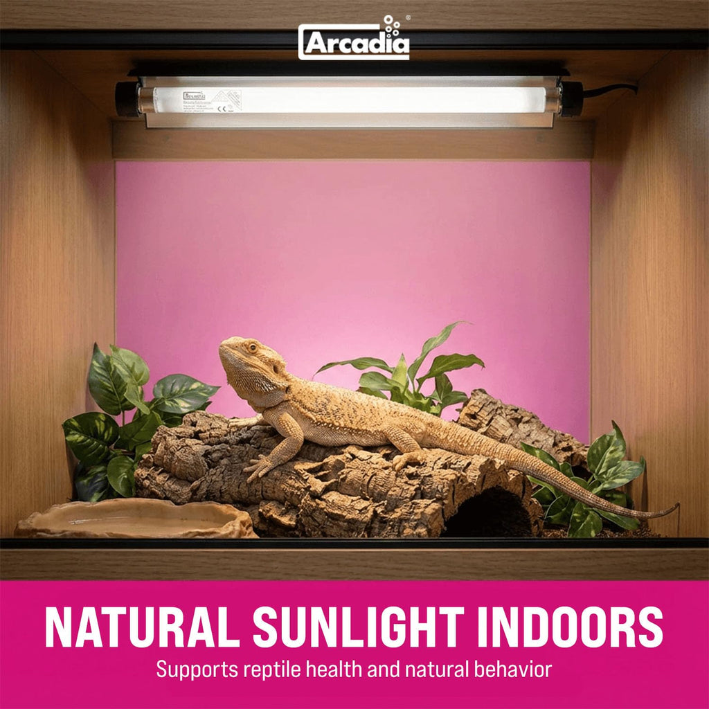 12" 8 Watts 7% UVB Reptile Light Fixture Kit G209