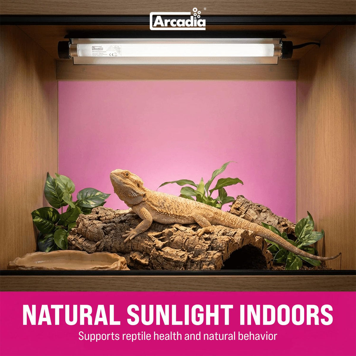 12" 8 Watts 7% UVB Reptile Light Fixture Kit G209