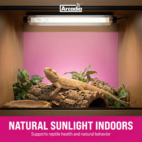 12" 8 Watts 7% UVB Reptile Light Fixture Kit G209