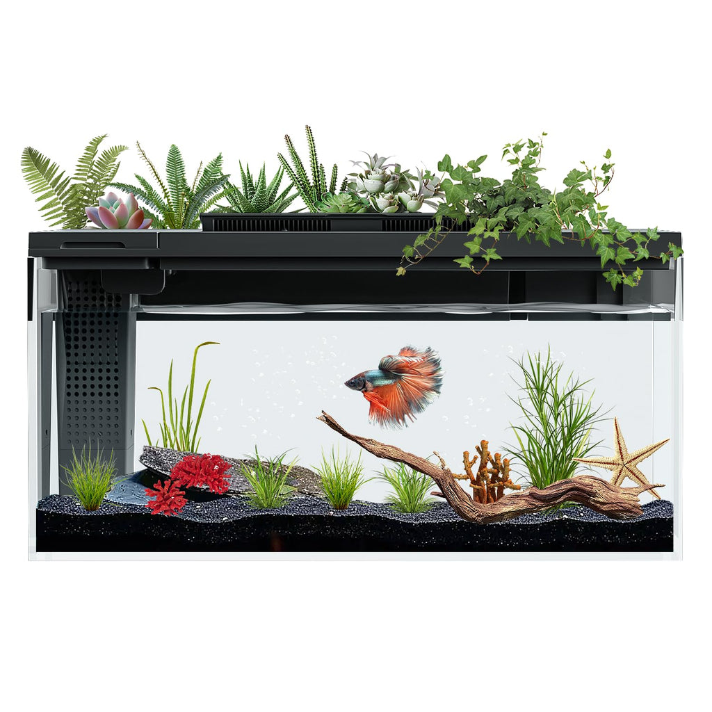 3.7 Gallon Betta Fish Tank Kit with Filter Light Water Pump E17035