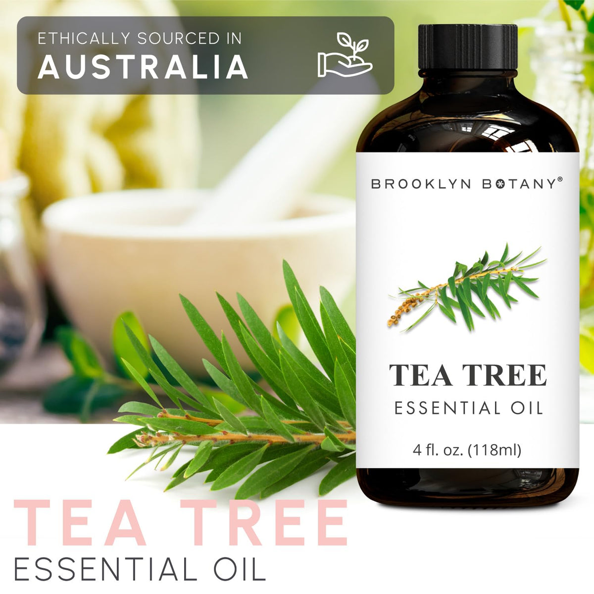 Lavender & Tea Tree Essential Oils 4 Fl Oz Pack of 2 W718184