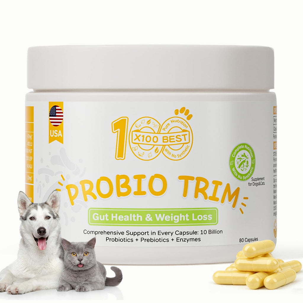 Probiotics for Dogs and Cats R272473