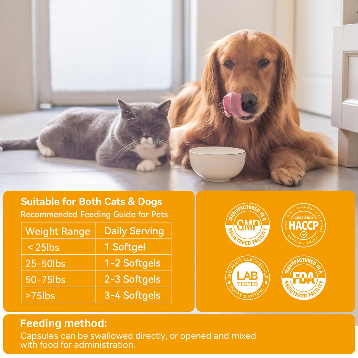 Probiotics for Dogs and Cats R272473