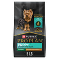 Chicken & Rice Dry Puppy Food 5 lb Bag B445286