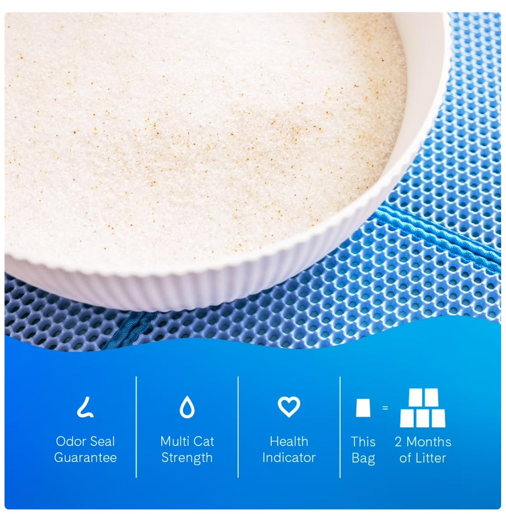Unscented Non-Clumping Cat Litter L88511