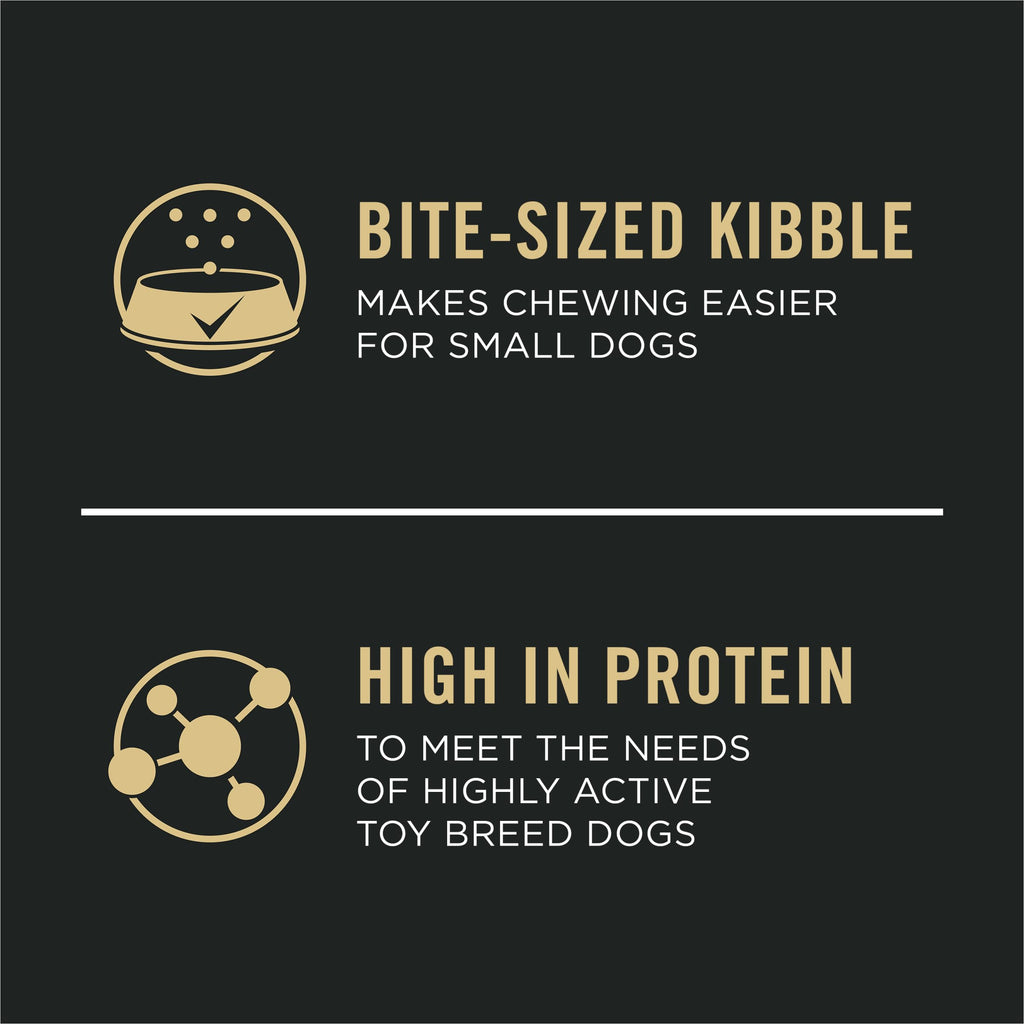 Chicken & Rice Dry Puppy Food 5 lb Bag B445286