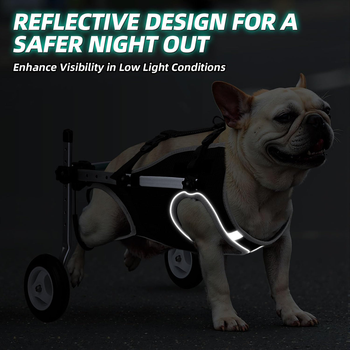 Dog Wheelchair for Back Legs H872
