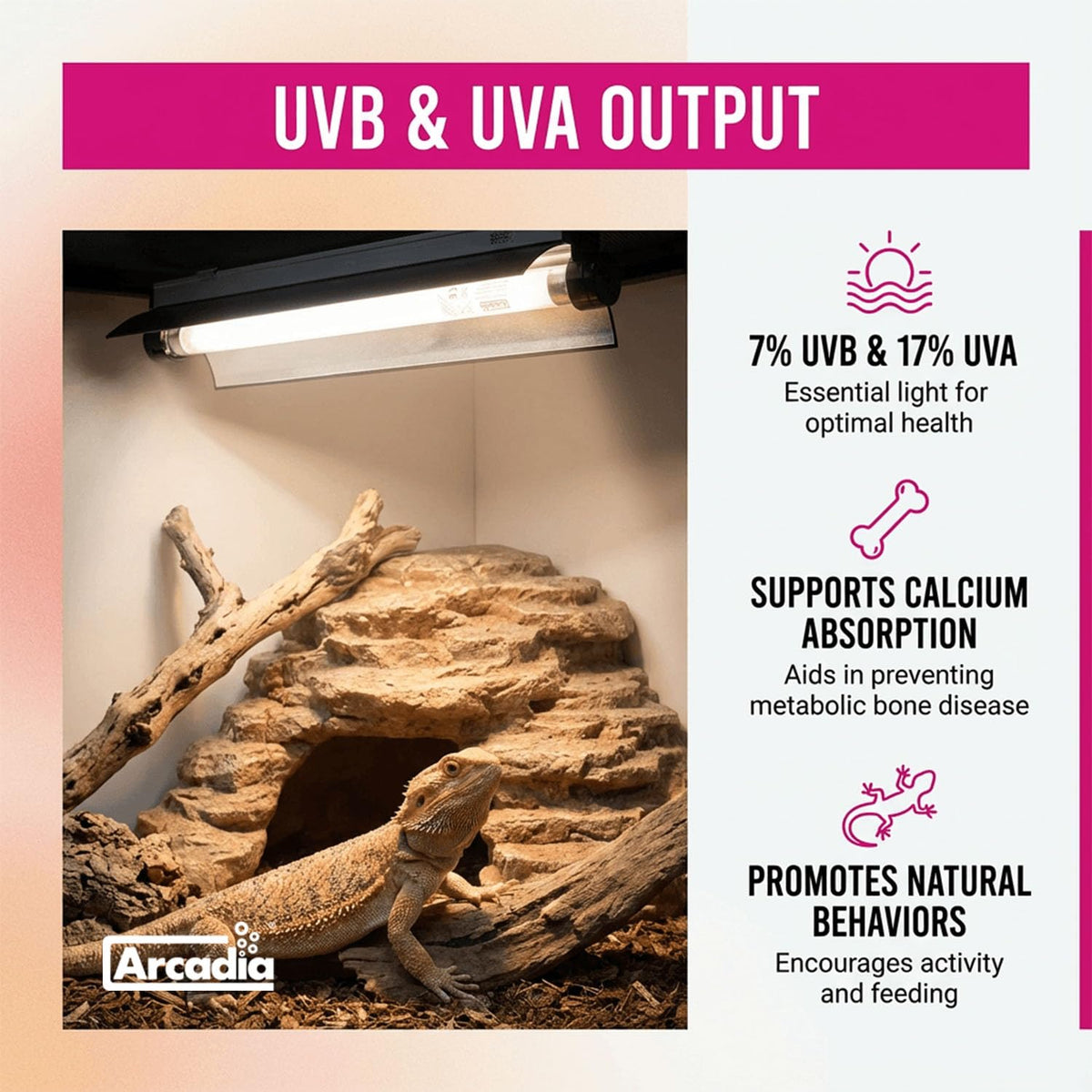 12" 8 Watts 7% UVB Reptile Light Fixture Kit G209