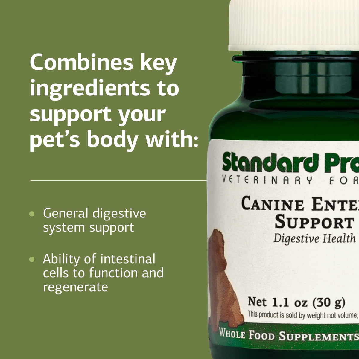 Canine Enteric Support 30 g V21688