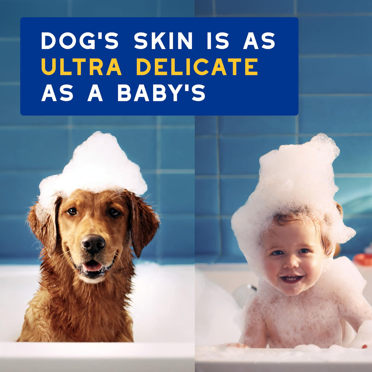 Oatmeal Dog Shampoo, 16 fl oz F134906
