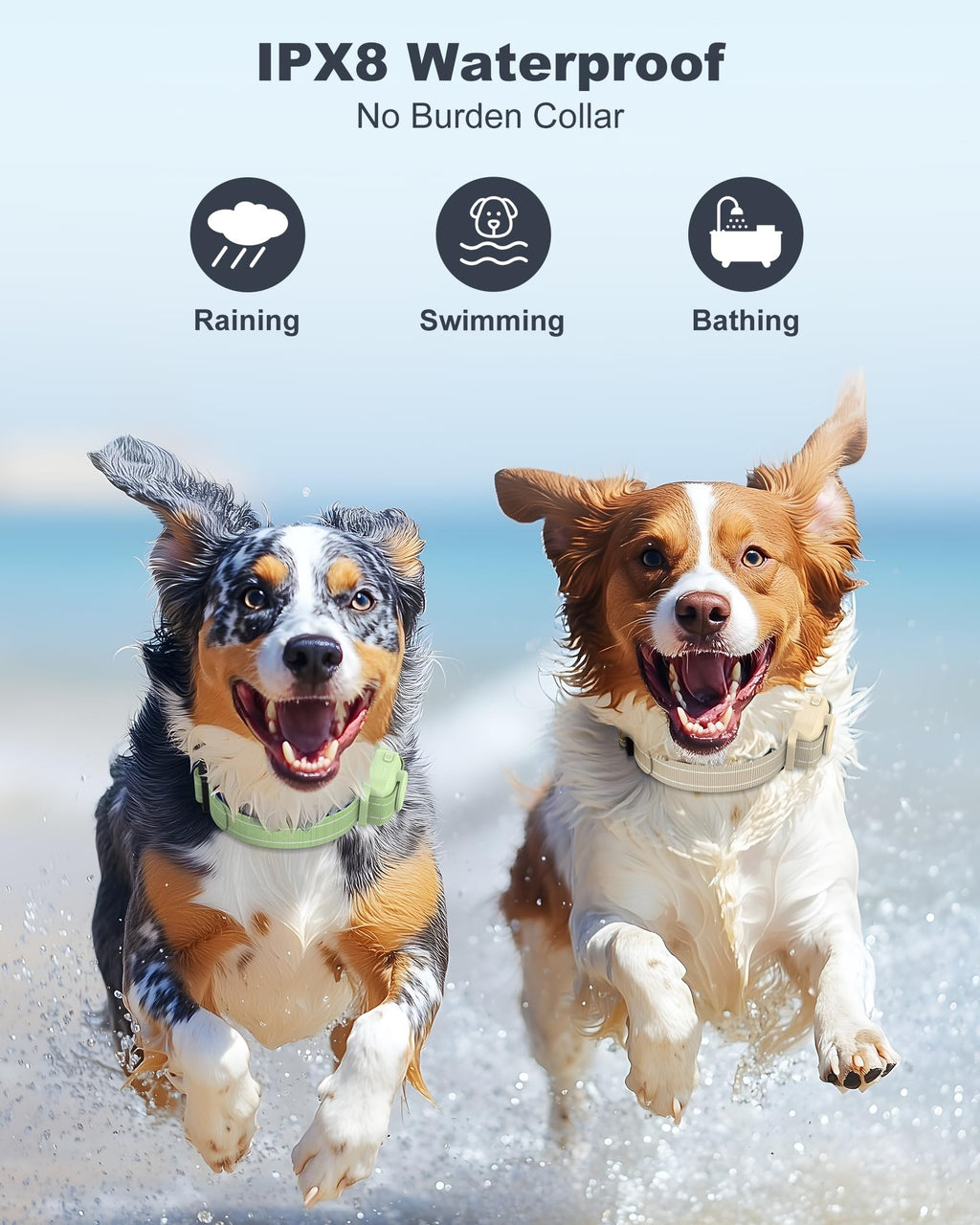 Dog Training Collar with Remote O581