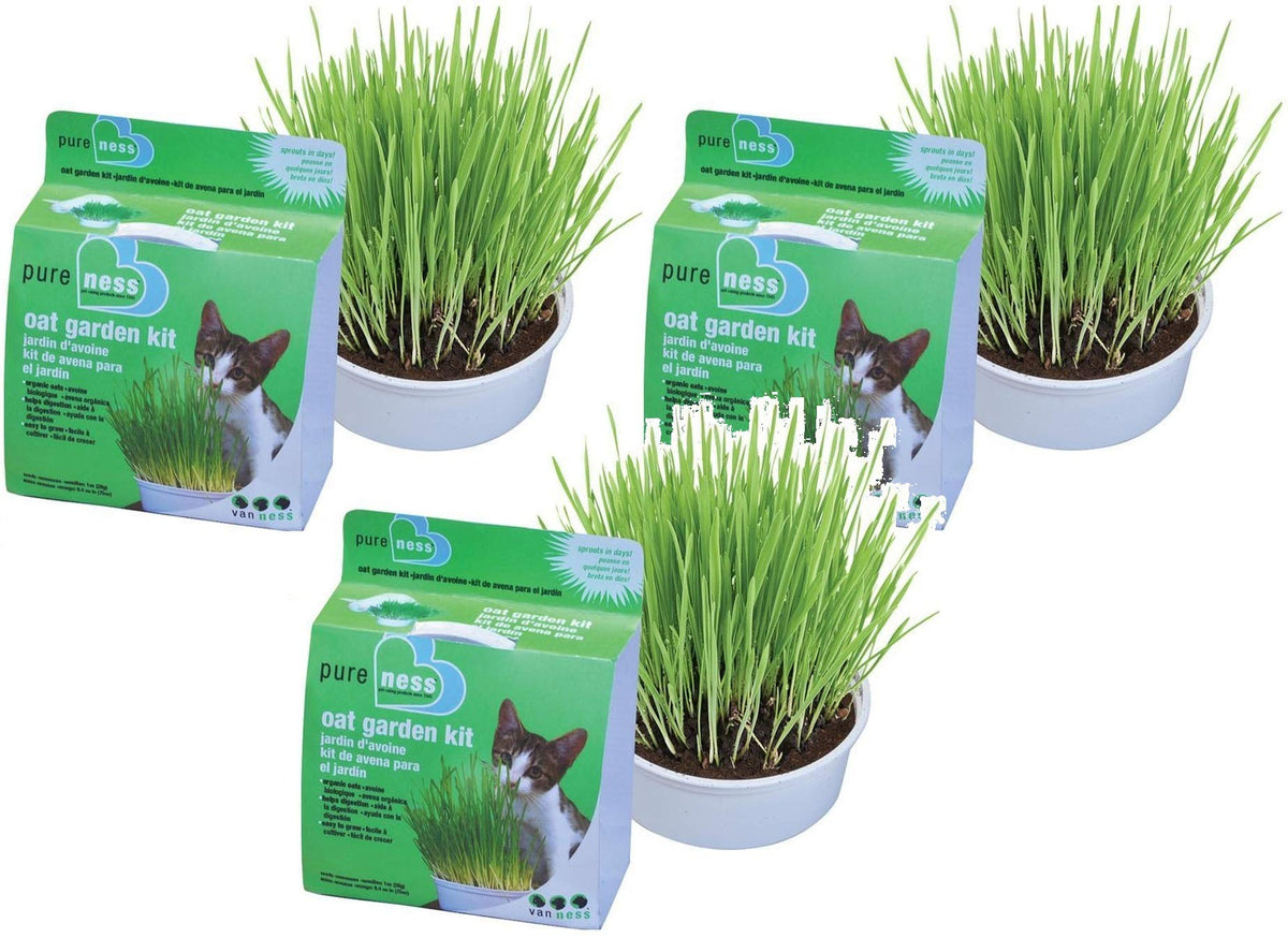 Cat Garden Kit Set of 3 P3729