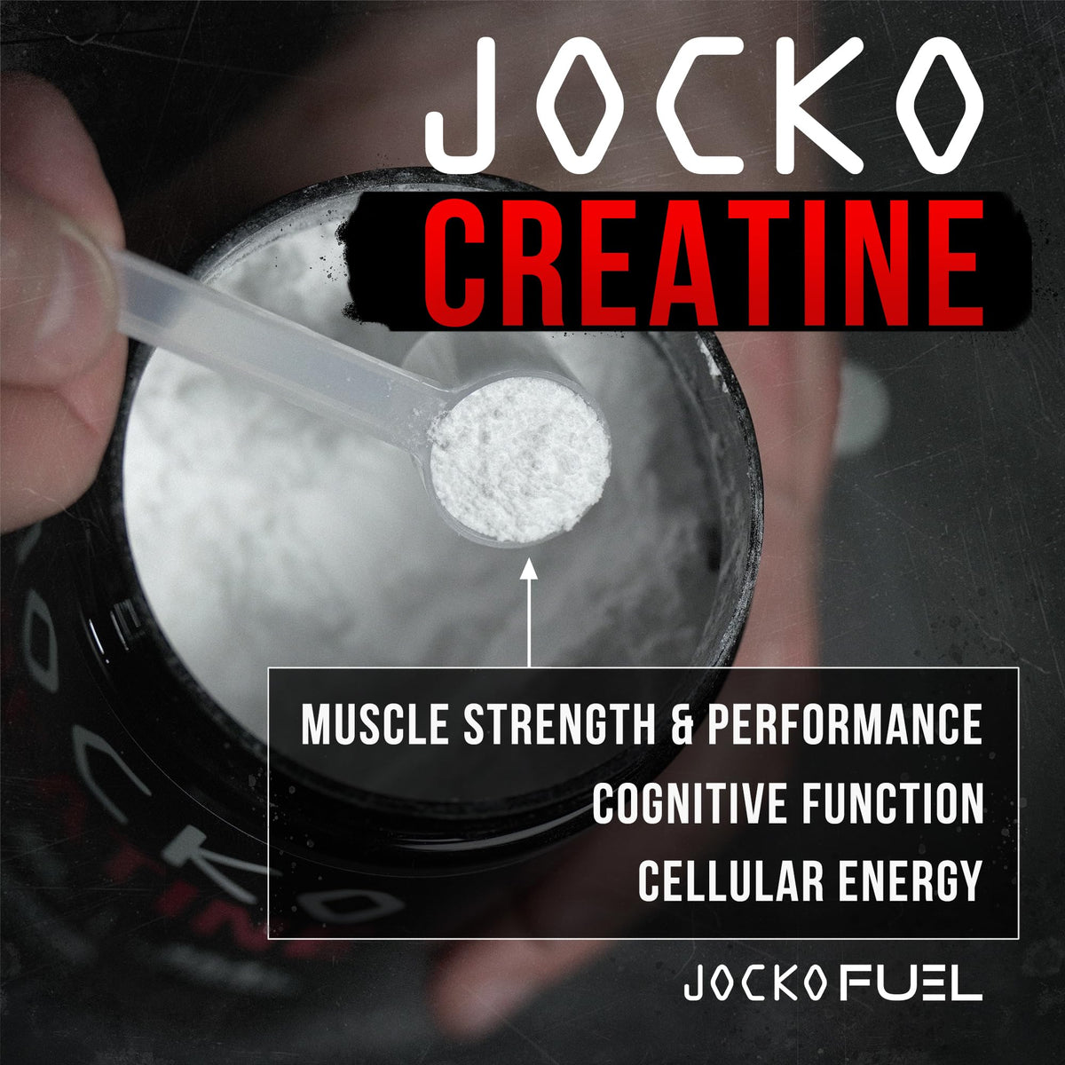 Creatine Monohydrate Powder Unflavored 454g G71109