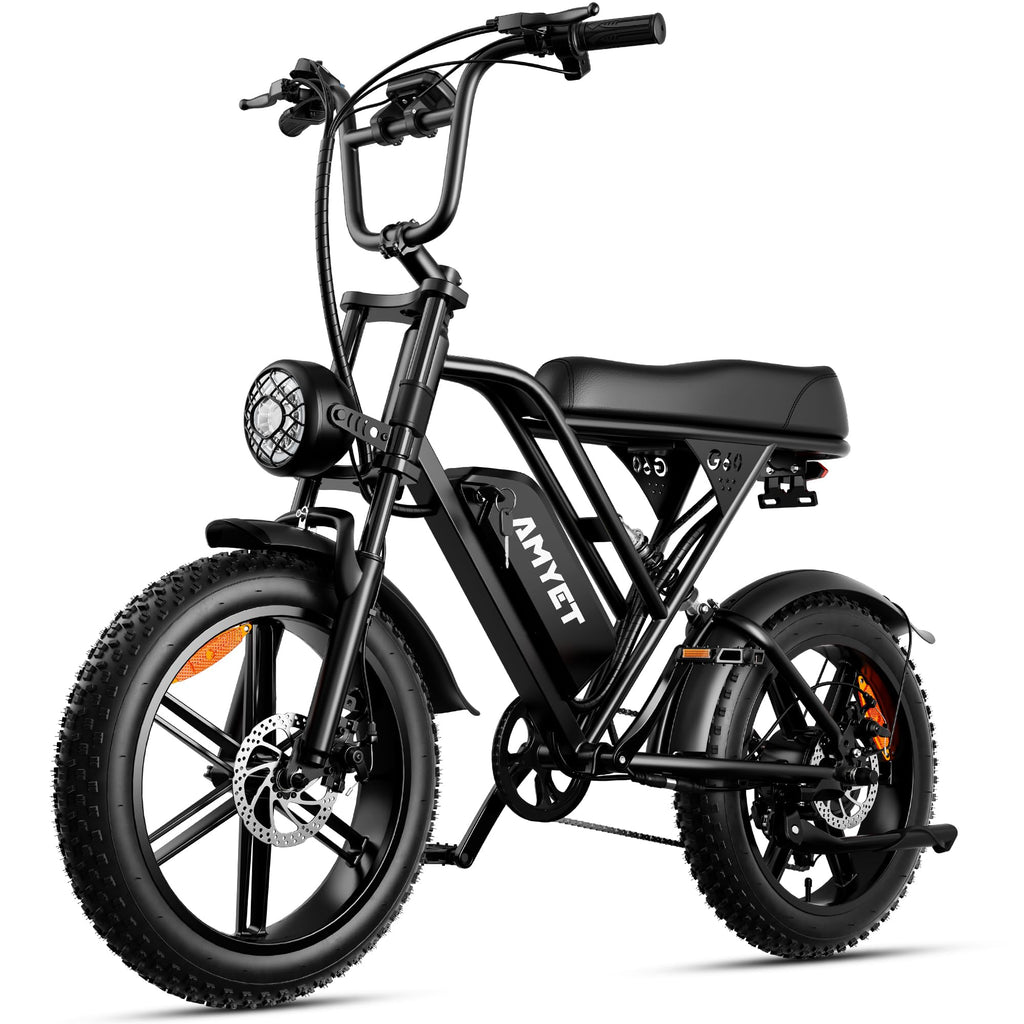 20'' Fat Tire Electric Bike W34197