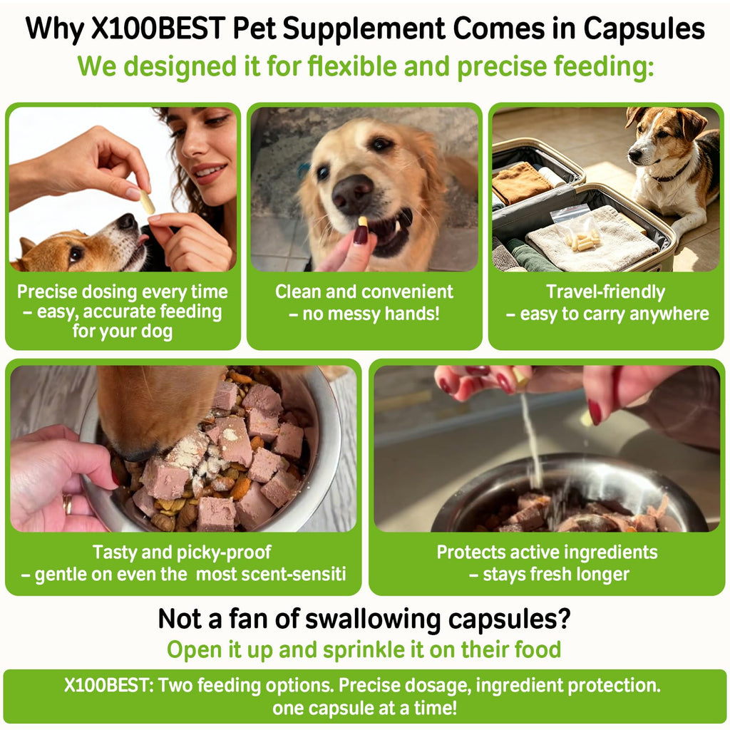 Probiotics for Dogs and Cats R272473