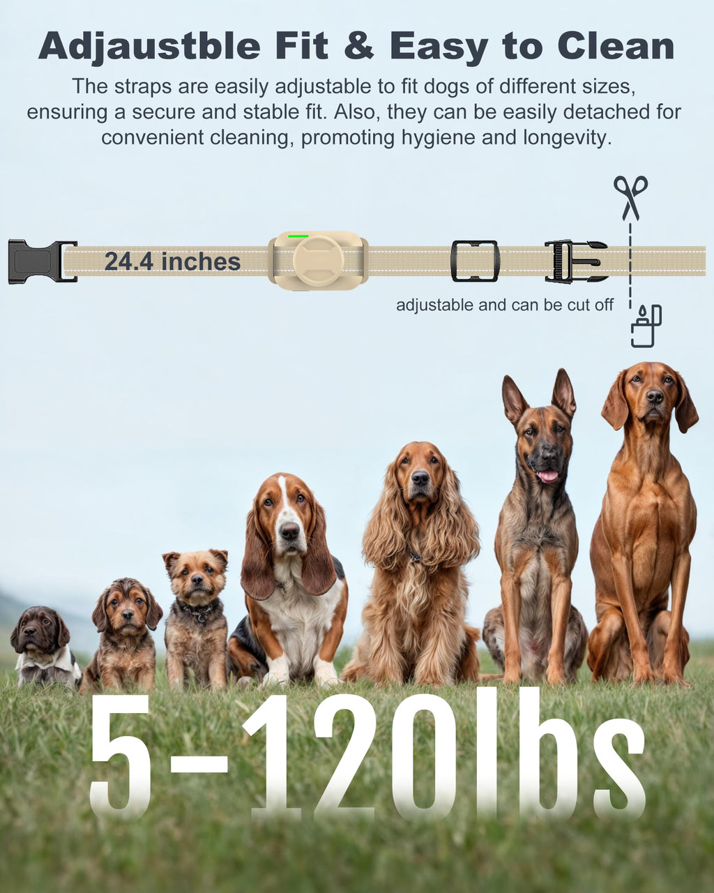 Dog Training Collar with Remote O581