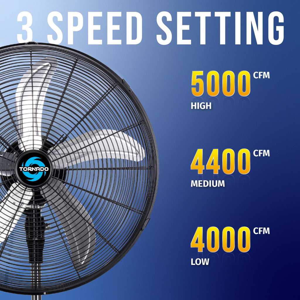 20 Inch 3 Speed Oscillating Pedestal Fan E883505