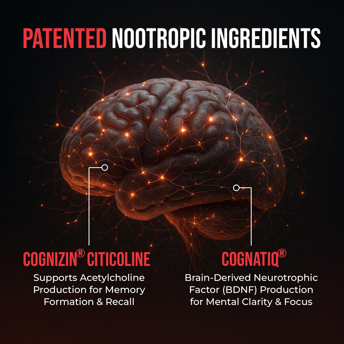 90 Capsules Nootropic Brain Supplement W97508