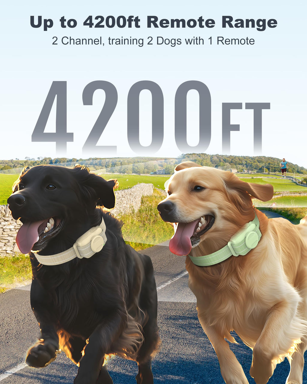 Dog Training Collar with Remote O581