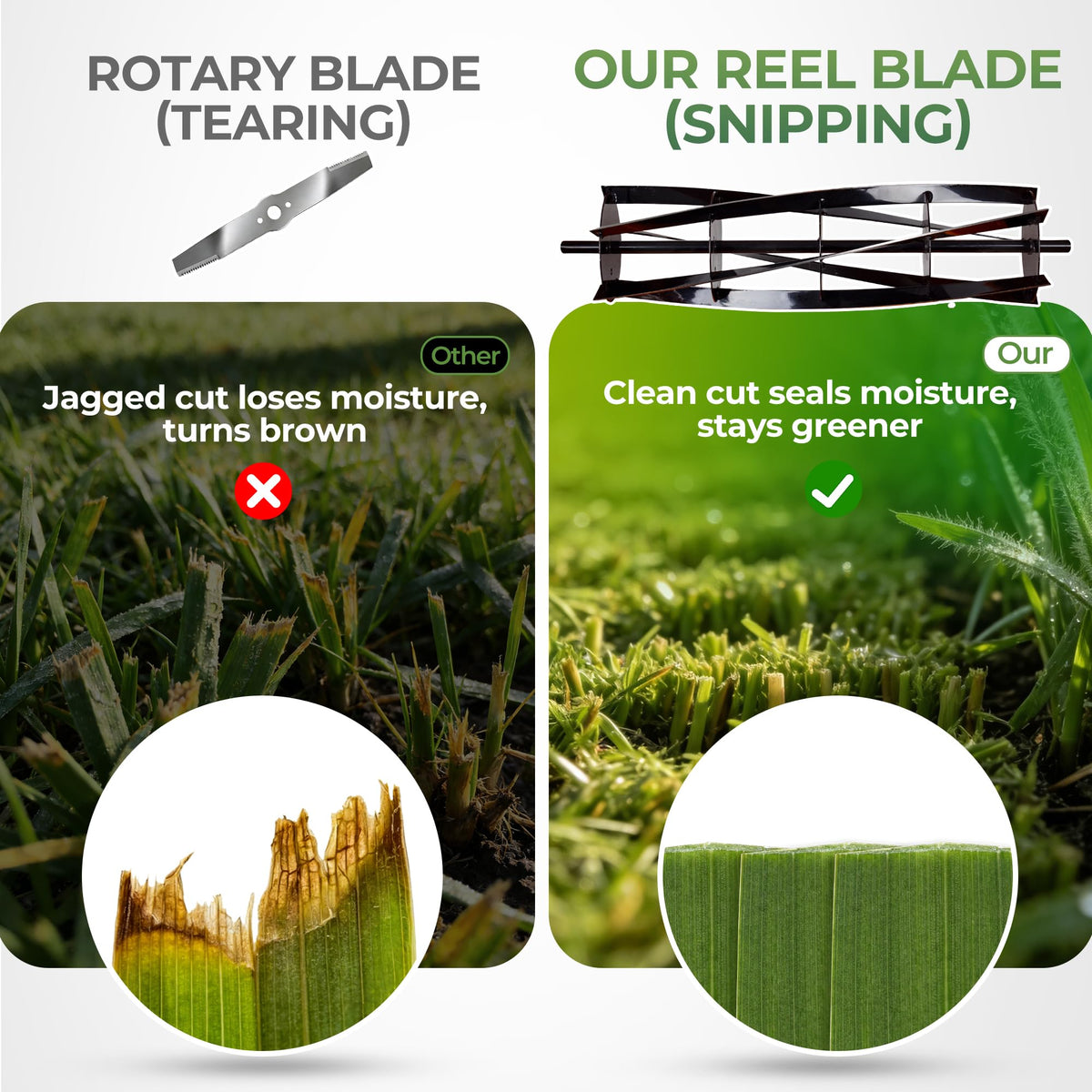 16-Inch Cordless Electric Reel Lawn Mower with 2 Batteries D930646