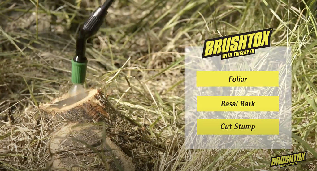 64oz Brush Killer with Triclopyr I214624