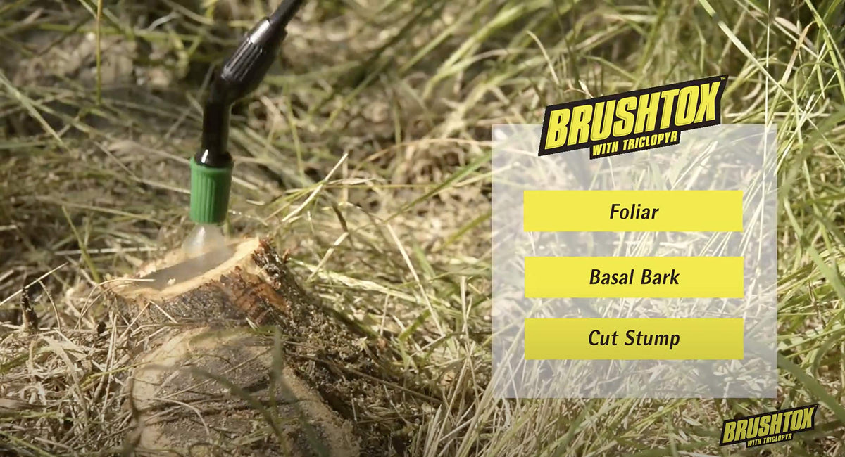 64oz Brush Killer with Triclopyr I214624