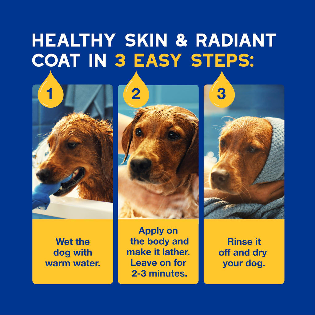 Oatmeal Dog Shampoo, 16 fl oz F134906