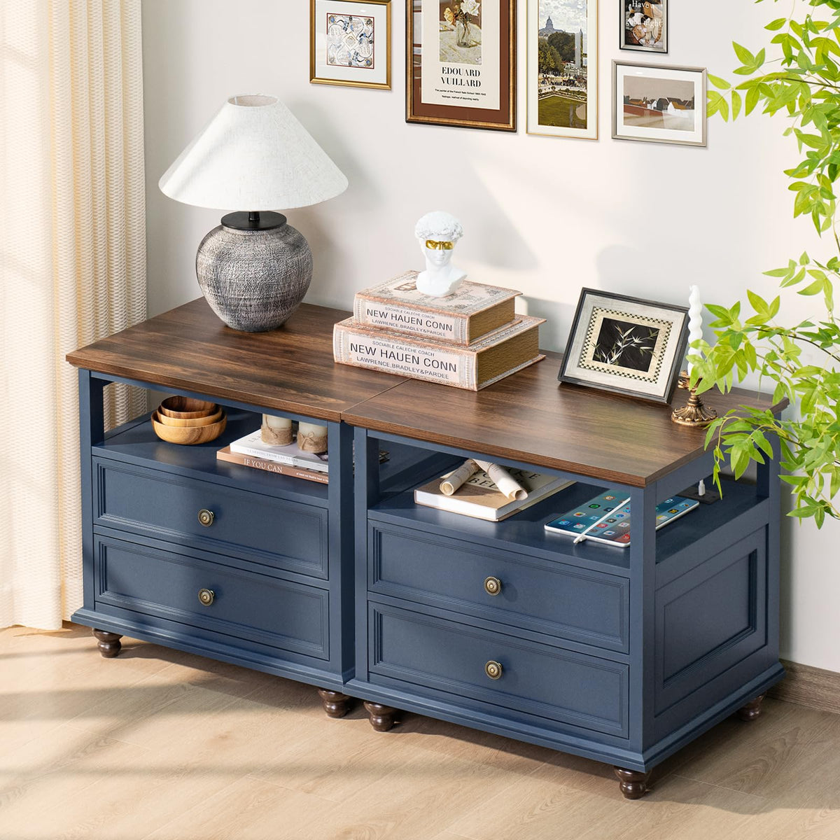 Blue 2 Drawer Wood Nightstand C27591
