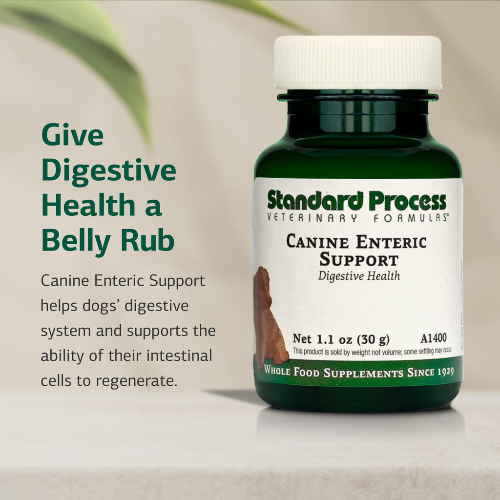 Canine Enteric Support 30 g V21688