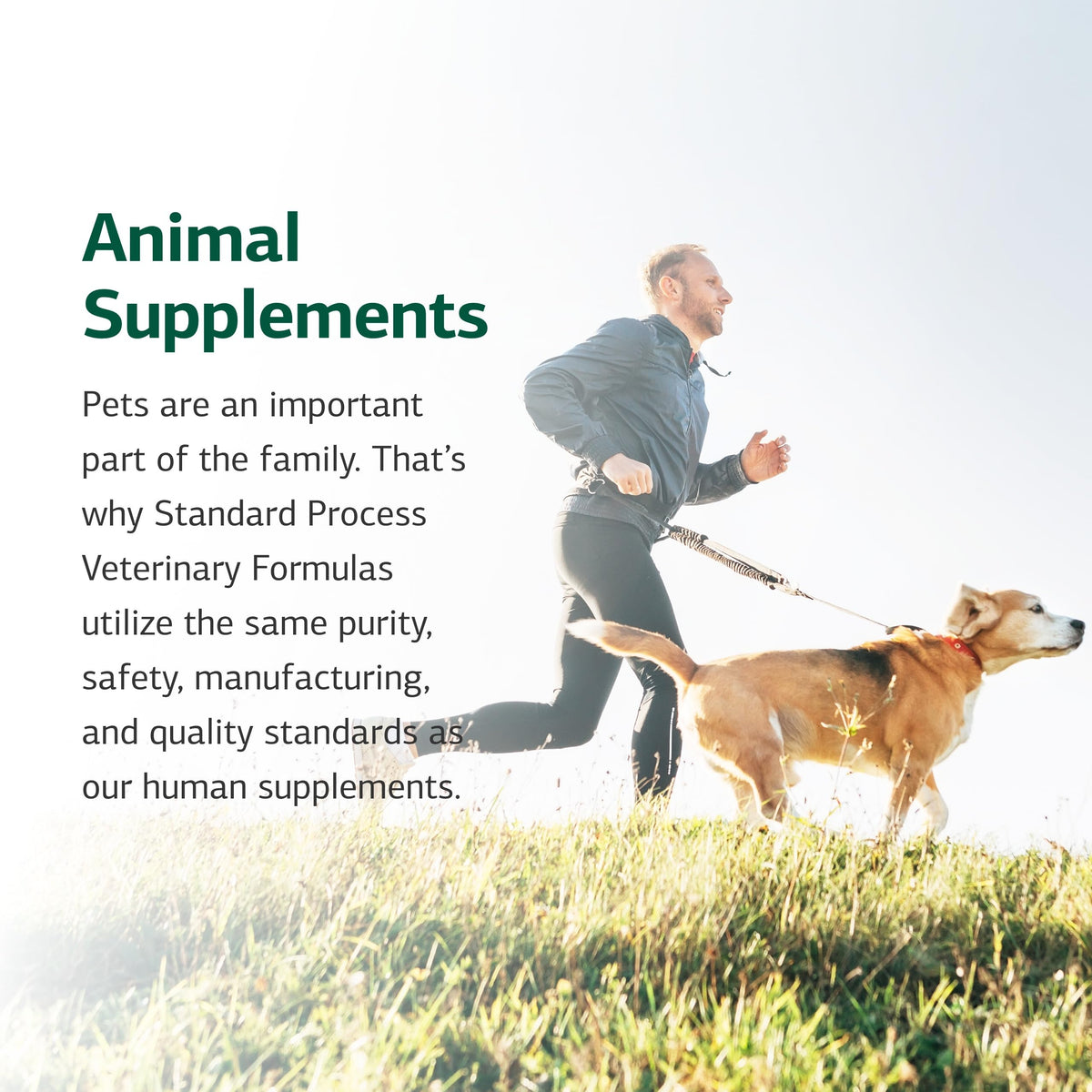 Canine Enteric Support 30 g V21688