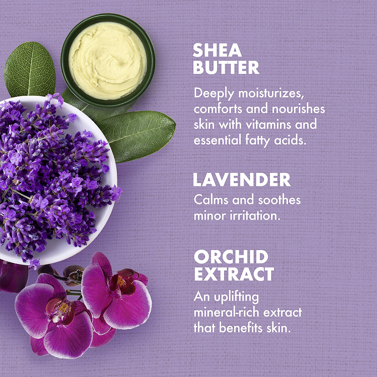 Lavender Wild Orchid Calming Bath Body Massage Oil 8 oz S155747