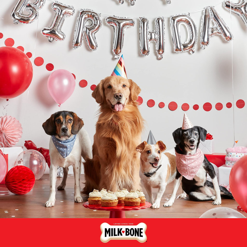Birthday Cake Dog Treats 8 Oz G2190