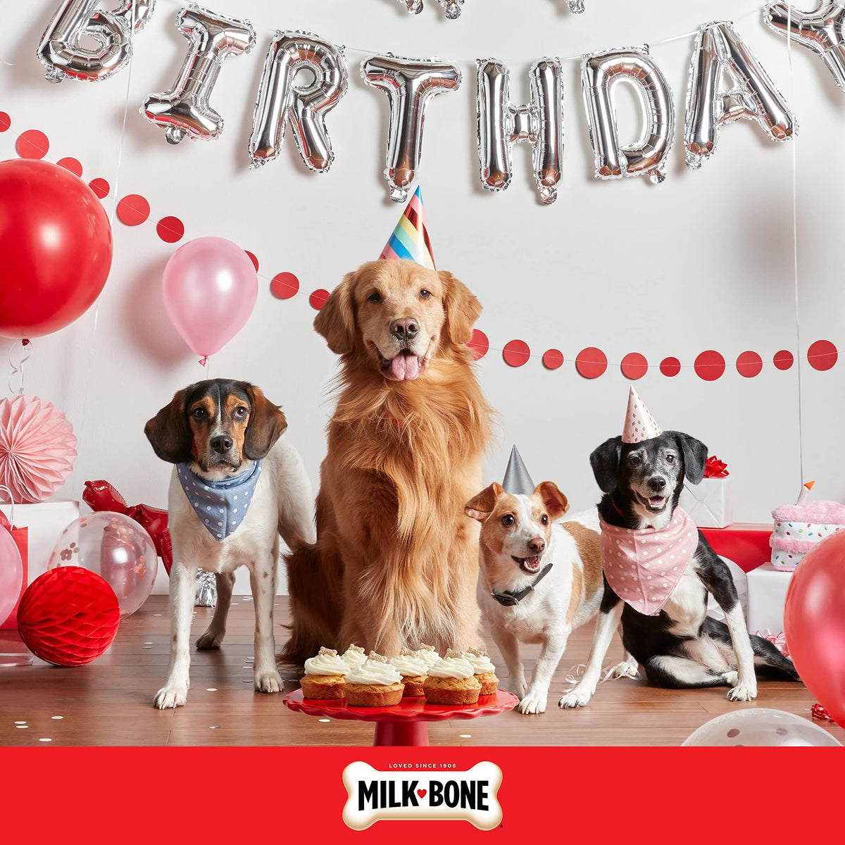 Birthday Cake Dog Treats 8 Oz G2190